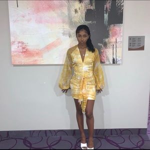 Chiffon long sleeve bodycon dress